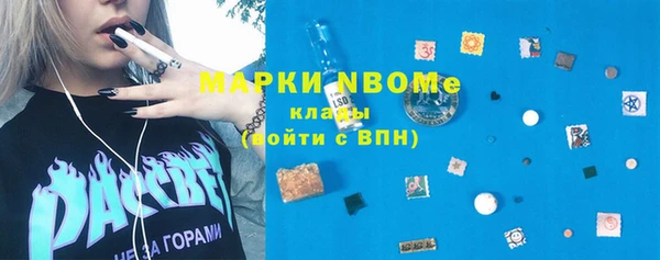 МДПВ Пересвет