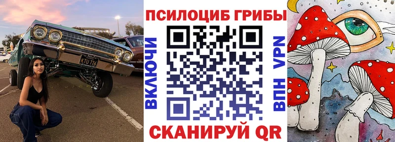маркетплейс Telegram  наркотики  Рудня  Галлюциногенные грибы Psilocybe  omg маркетплейс 